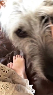 Clare Bowen feet photo 14