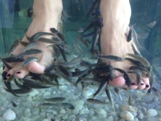 Claudelle Deckert feet photo thumbnail