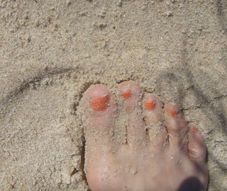 Claudia Alencar feet photo 1