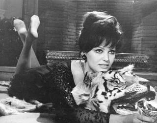 Claudia Cardinale feet photo thumbnail