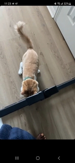 Claudia Jordan feet photo thumbnail