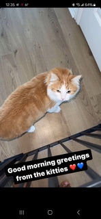 Claudia Jordan feet photo thumbnail