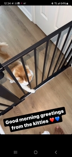 Claudia Jordan feet photo thumbnail