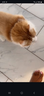 Claudia Jordan feet photo thumbnail