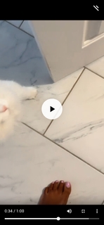 Claudia Jordan feet photo thumbnail