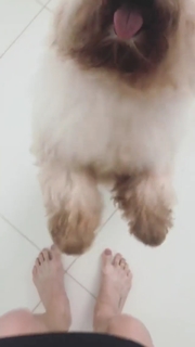 Claudia Leitte feet photo thumbnail