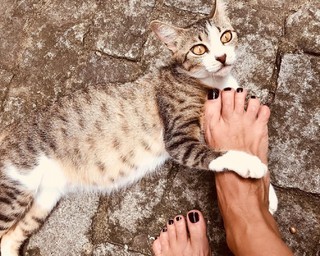 Claudia Ohana feet photo thumbnail