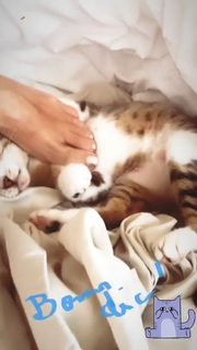 Claudia Ohana feet photo thumbnail