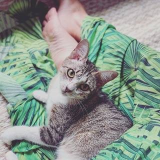 Claudia Ohana feet photo thumbnail
