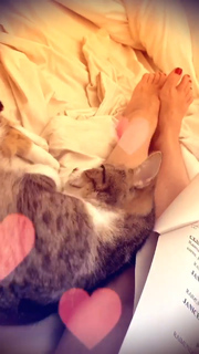Claudia Ohana feet photo thumbnail
