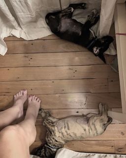 Claudia Ohana feet photo thumbnail