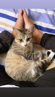 Claudia Ohana feet photo thumbnail