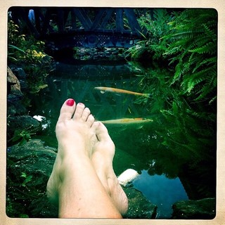 Claudia Ohana feet photo thumbnail