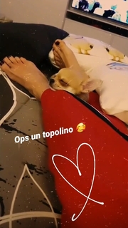 Claudia Ruggeri feet photo 8