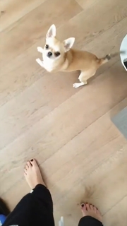 Claudia Ruggeri feet photo 4