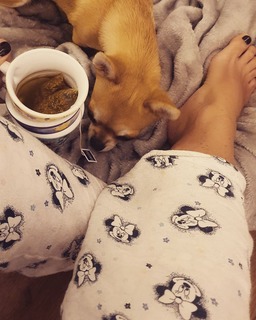 Claudia Ruggeri feet photo 1