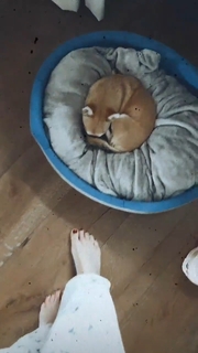 Claudia Ruggeri feet photo 4