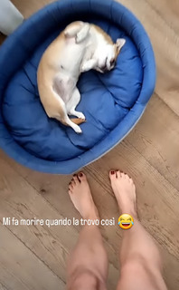 Claudia Ruggeri feet photo 3