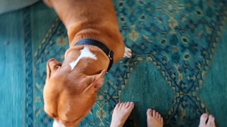 Claudia Sulewski feet photo 18