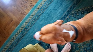 Claudia Sulewski feet photo 16