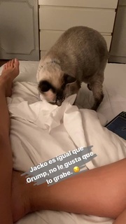 Claudia Zepeda feet photo 20