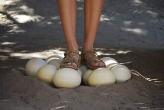 Cleo Constantine Abram feet photo 8