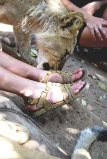 Cleo Constantine Abram feet photo 4