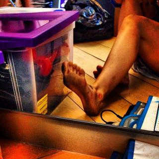 Cleo feet photo thumbnail