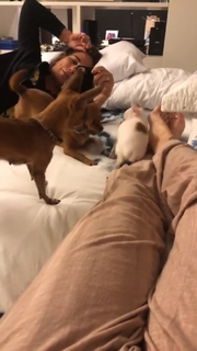 Cleo feet photo thumbnail