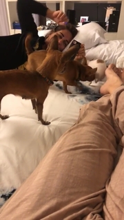 Cleo feet photo thumbnail