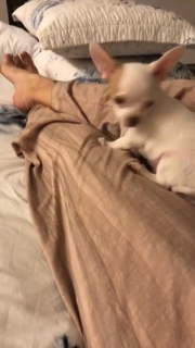 Cleo feet photo thumbnail