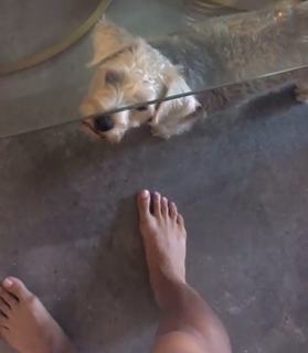 Cleopatra Coleman feet photo 20