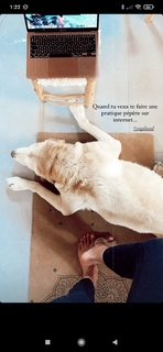Clio Pajczer feet photo 1