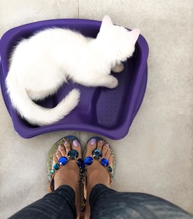 Cláudia Citroni feet photo thumbnail