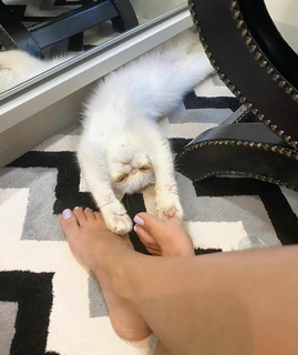 Cláudia Citroni feet photo thumbnail