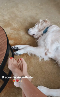 Cláudia Vieira feet photo thumbnail