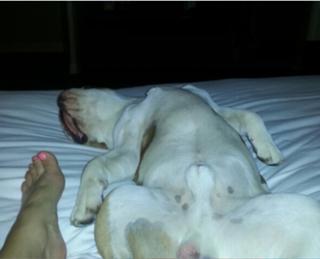 Coco Austin feet photo thumbnail