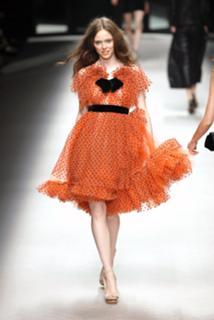 Coco Rocha feet photo 11