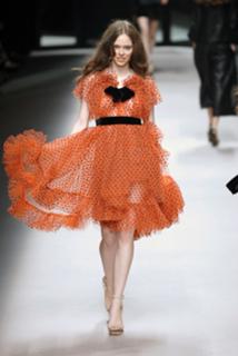 Coco Rocha feet photo 10