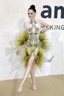 Coco Rocha feet photo 18