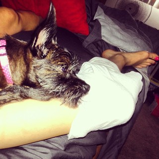 Cody Renee Cameron feet photo 20