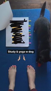 Cody Renee Cameron feet photo 10