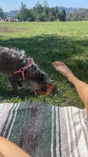 Cody Renee Cameron feet photo 4