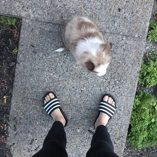 Coeur de pirate feet photo 17