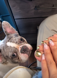 Coi Leray feet photo thumbnail