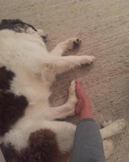 Colbie Caillat feet photo thumbnail