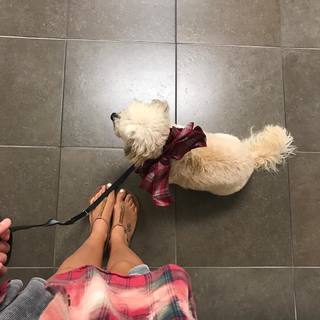 Colbie Caillat feet photo thumbnail