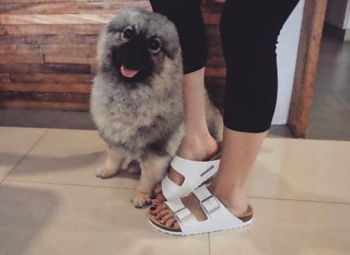 Coleen Garcia feet photo 3