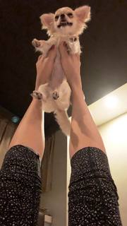 Coleen Garcia feet photo 20