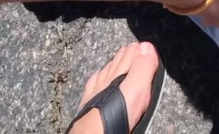 Colette Butler feet photo 10